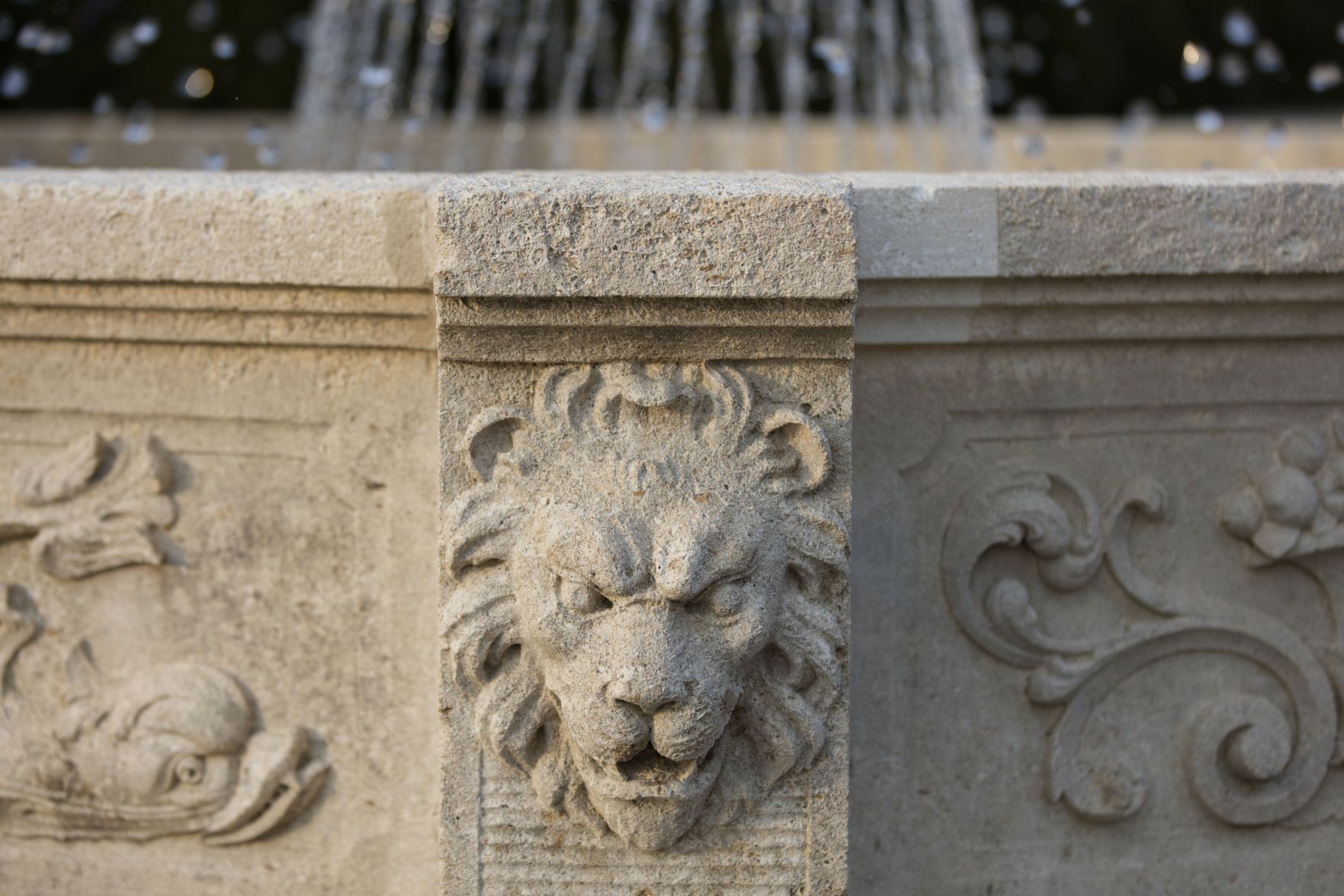 Longwood lion